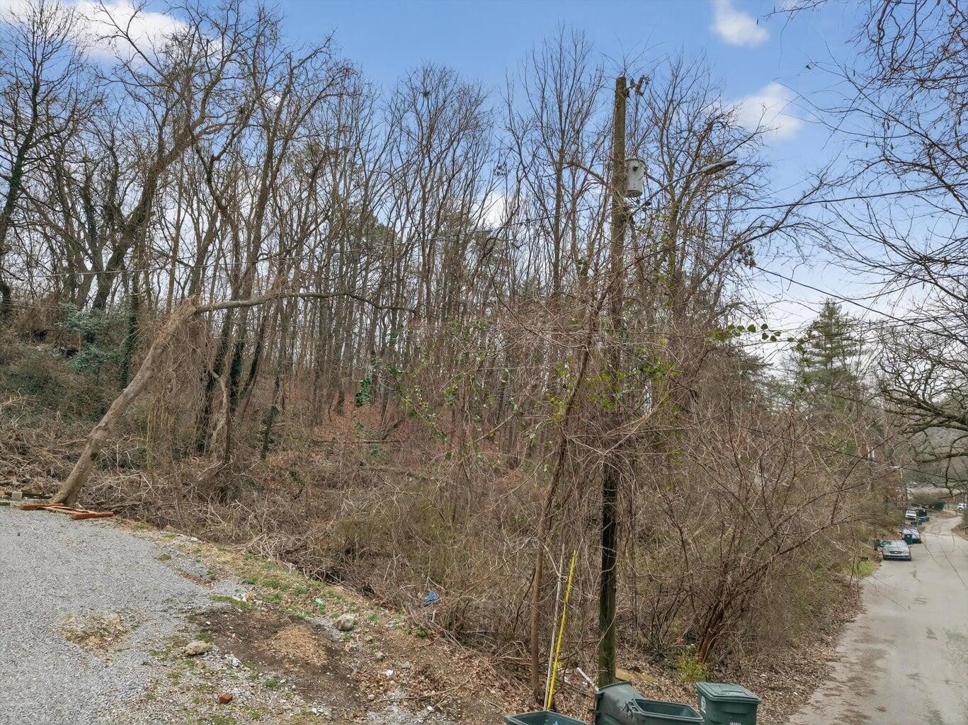 0 Tanaka Trail