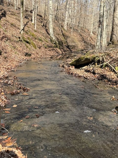 Photo of 0 Old Hwy 96, Franklin, TN 37064 (MLS # 3128820)