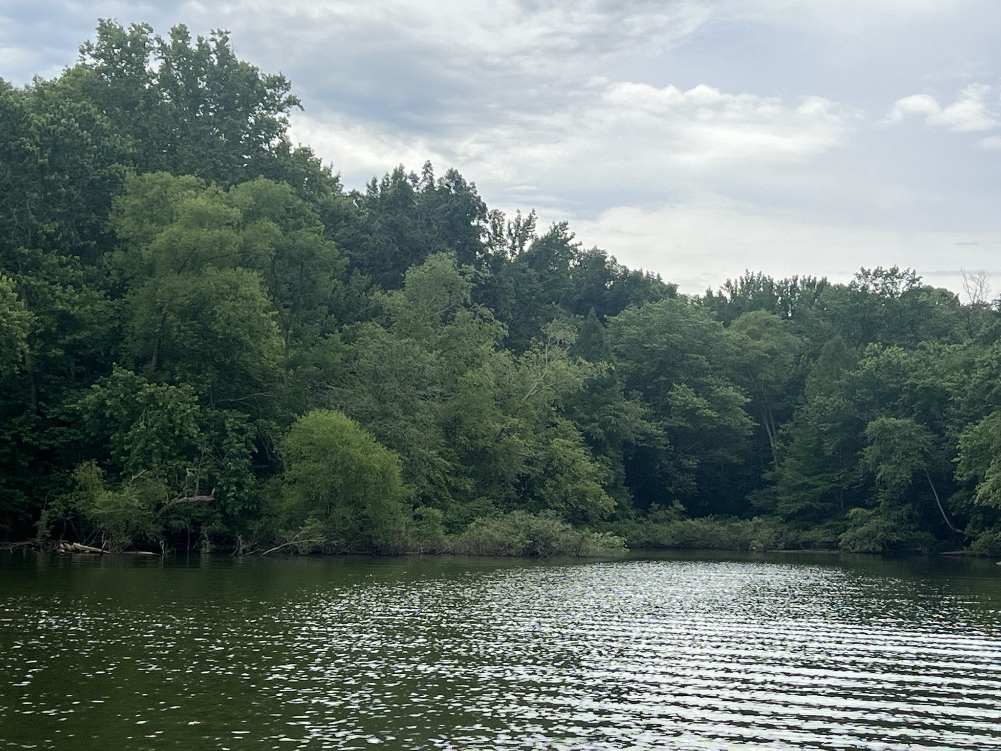 0 Beechtree Circle