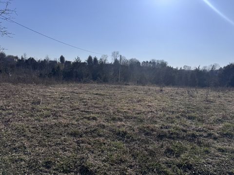 0 Ward Hollow Road Brush Creek TN 38547