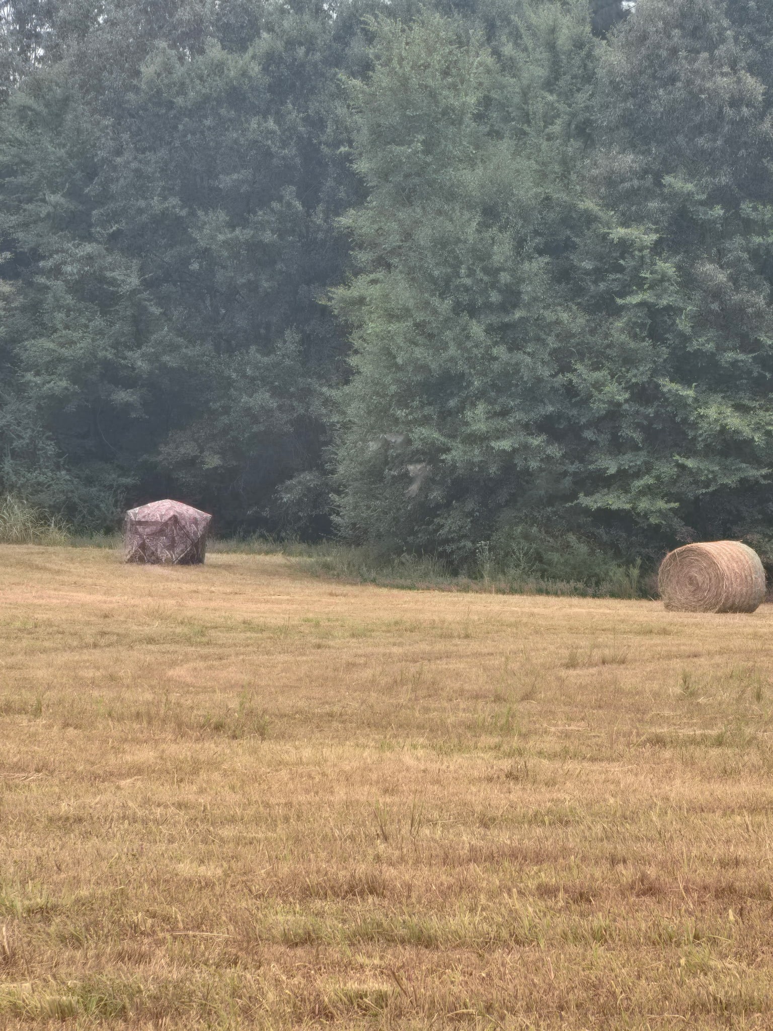 999 Moores Chapel Road