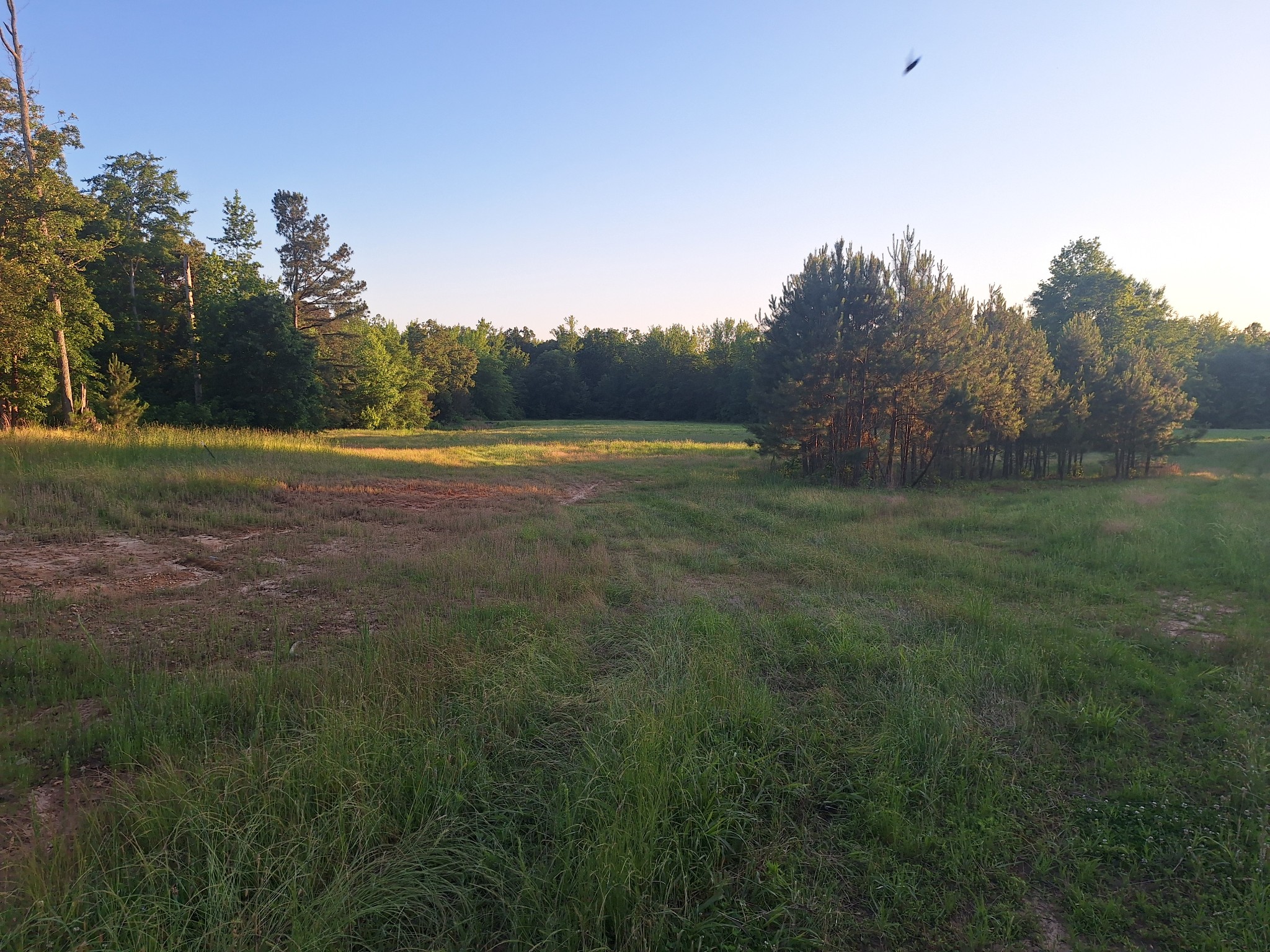 1605 Barren Springs Rd