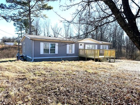 584 Rabbit Trail Rd SE Leoma TN 38468