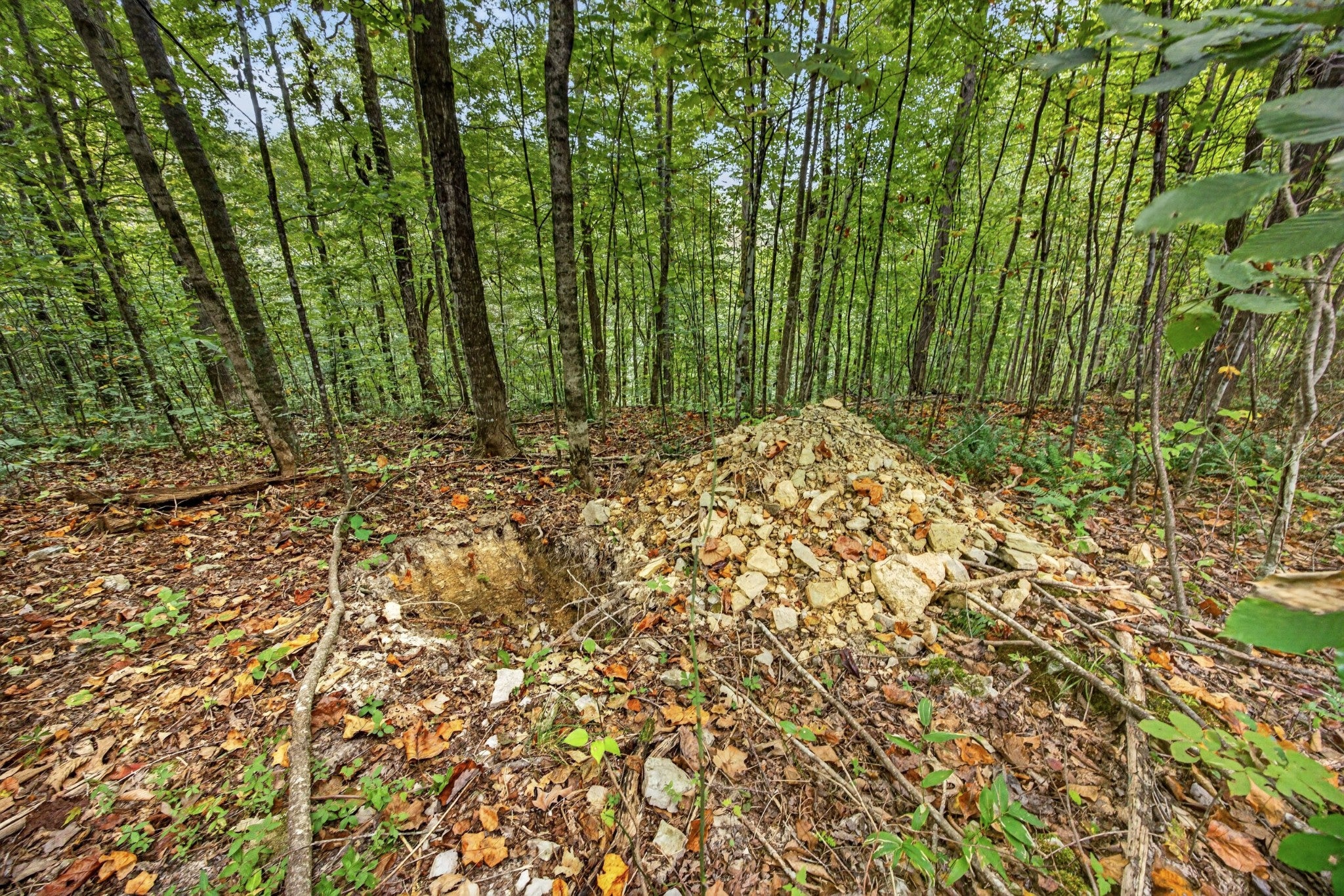 0 Timber Ridge Lane