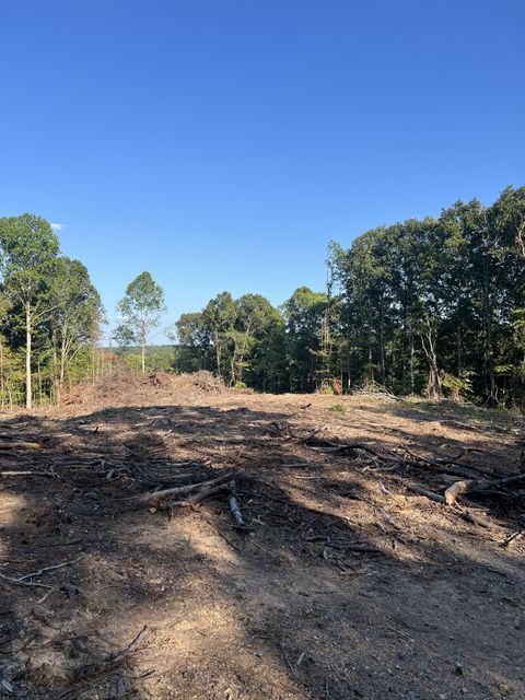 0 Grindstone Hollow Dickson TN 37055