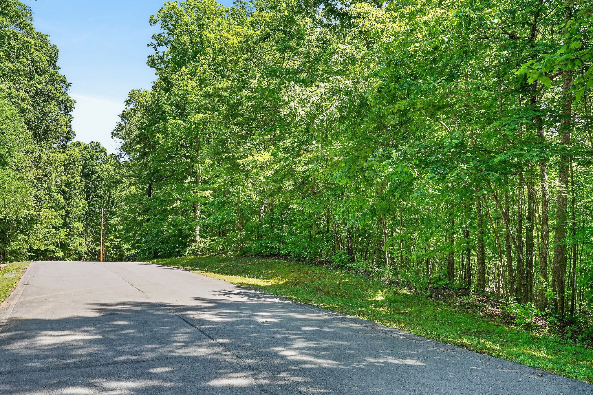 10 Mountain Harbor Trce