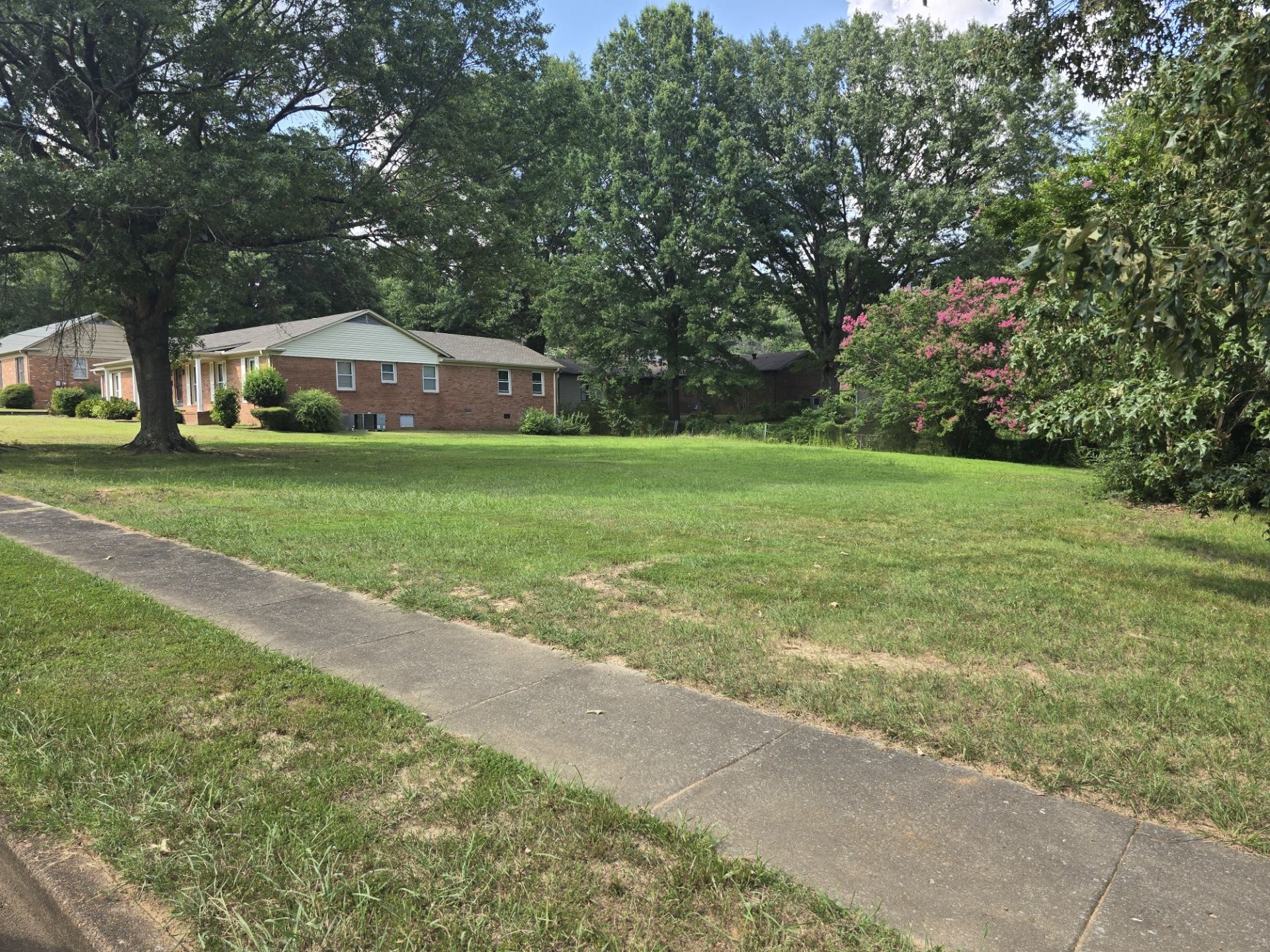 95 Whitfield Dr