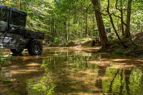 0 Fox Lane Savannah TN 38372