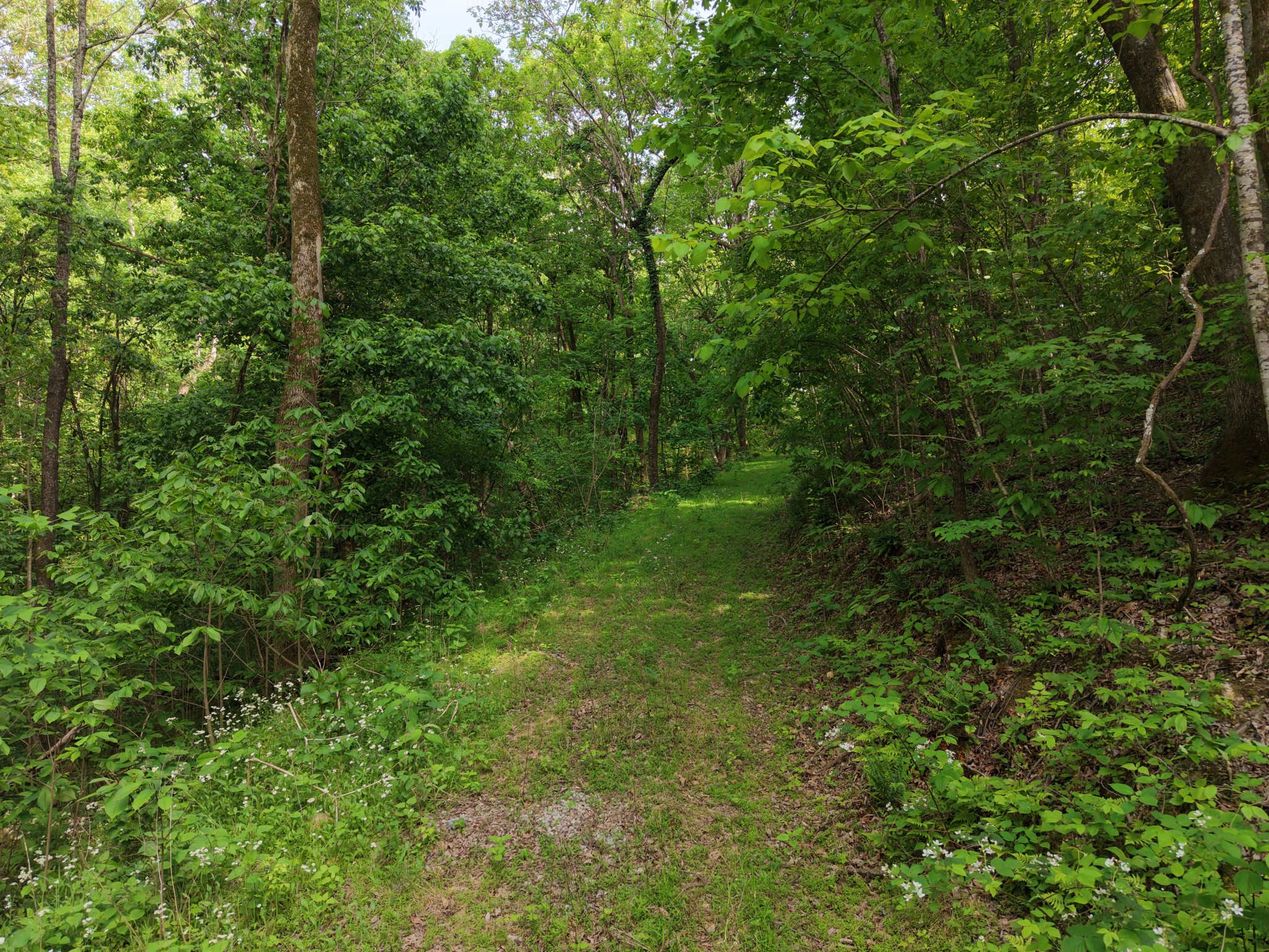 0 Bethel Rd