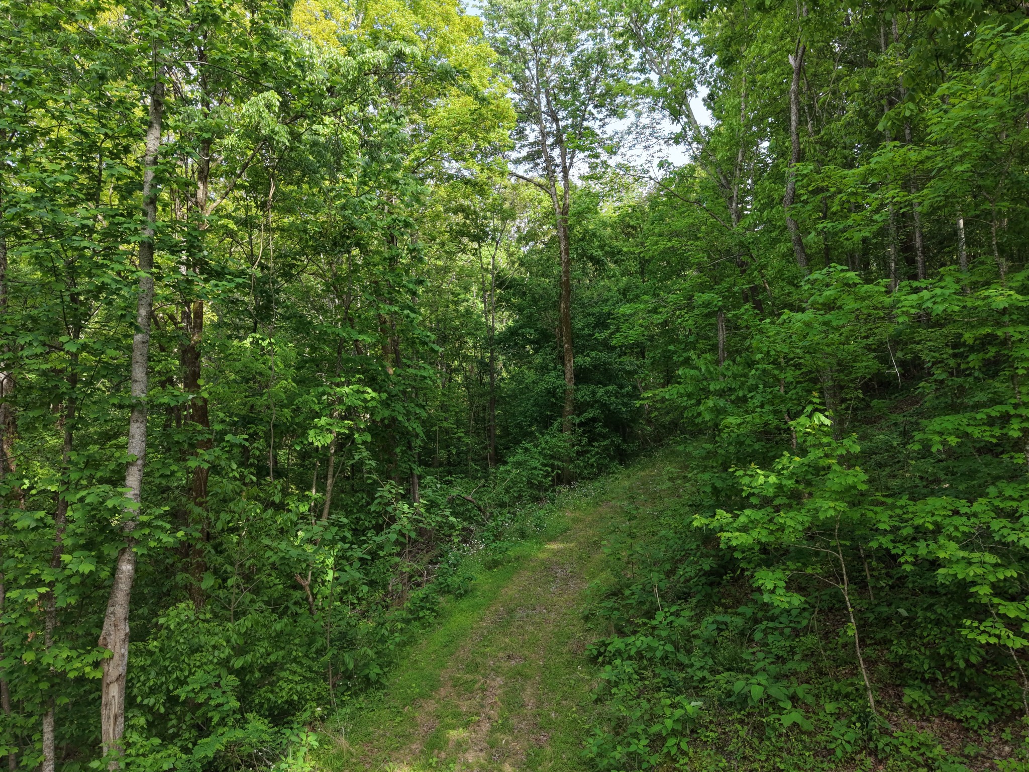 0 Bethel Rd