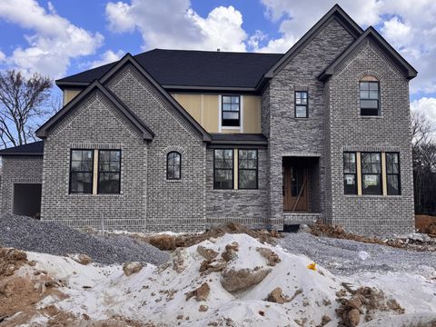 5924 Luke Court Arrington TN 37014