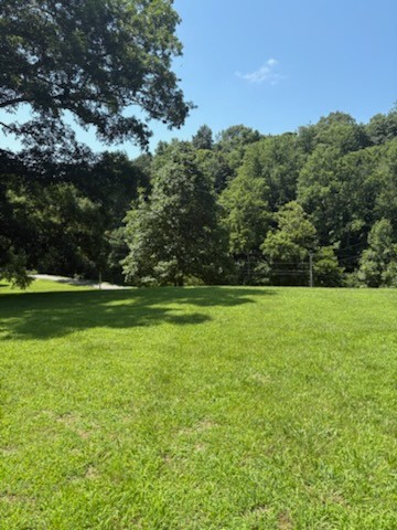 1134 Pee Dee Branch Rd