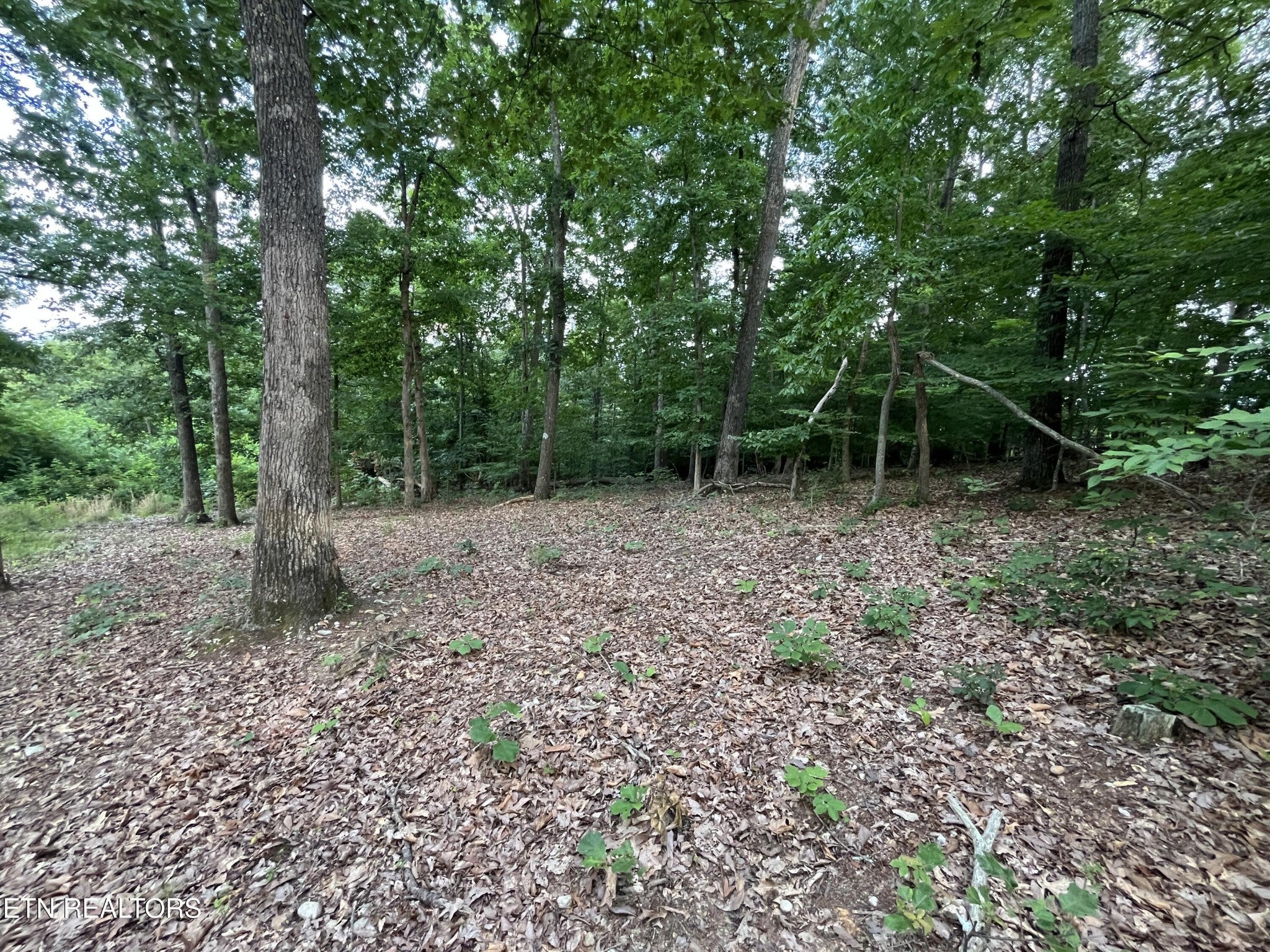 3278 Hillside Rd