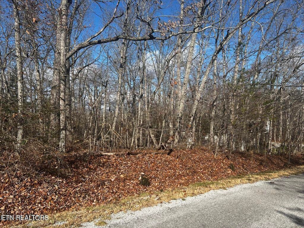 290 Kings Down Drive