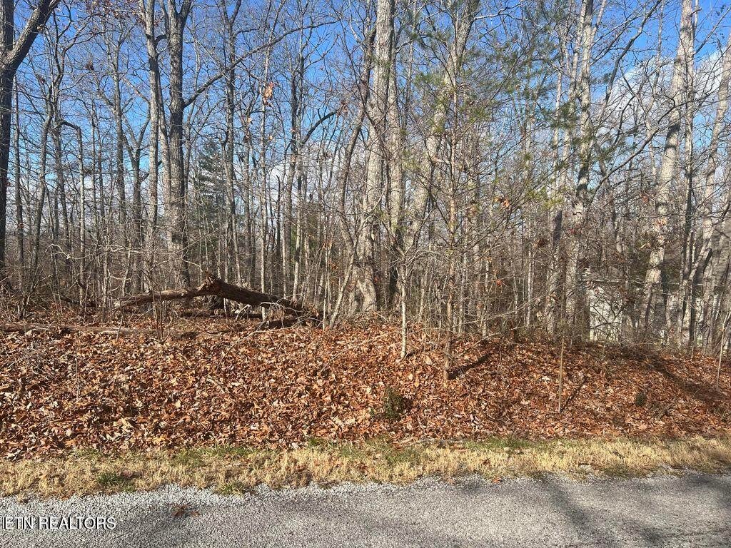 290 Kings Down Drive