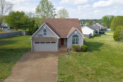 Photo of 132 Kimberly St, Portland, TN 37148 (MLS # 3168541)