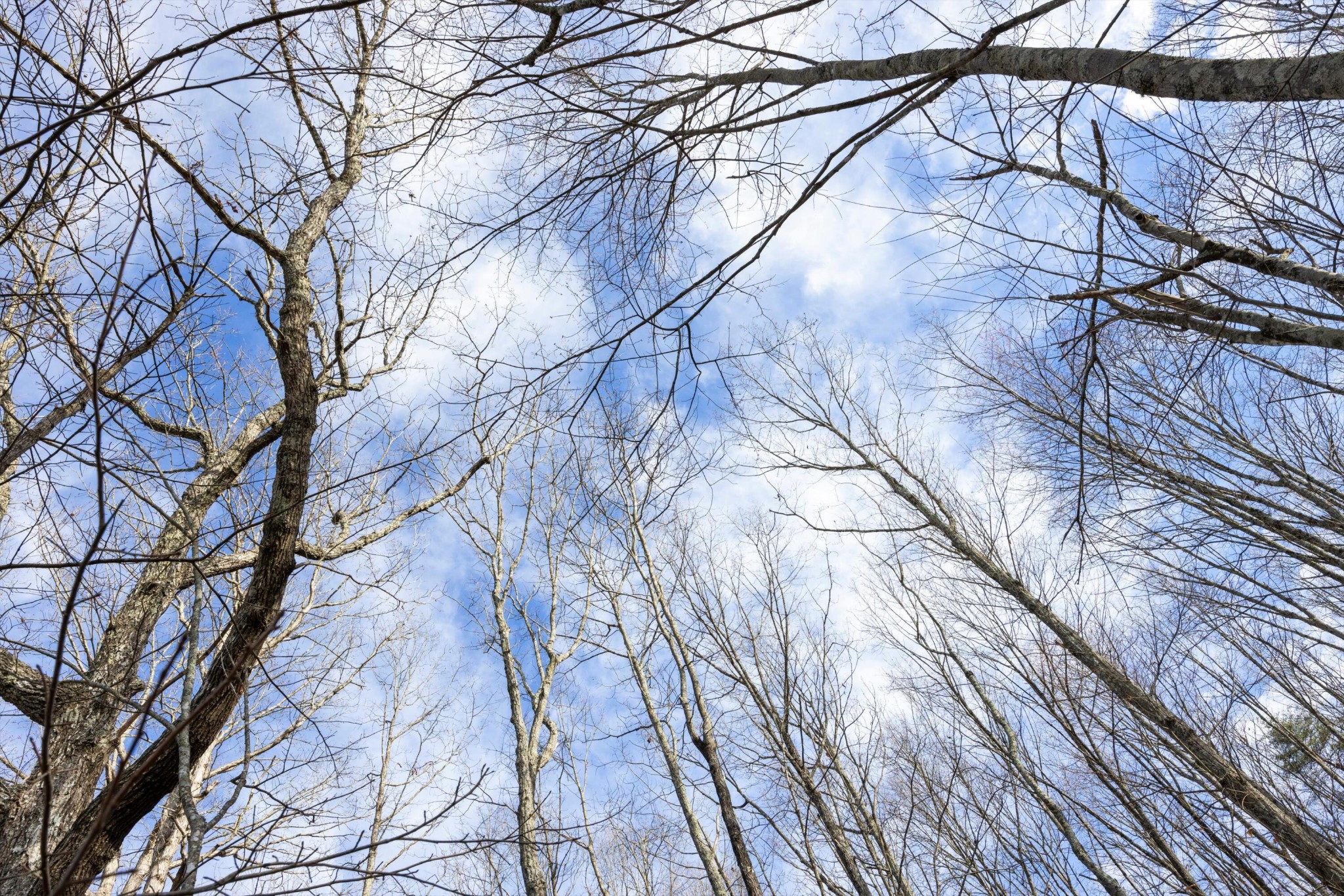 1920 Raulston Falls Road