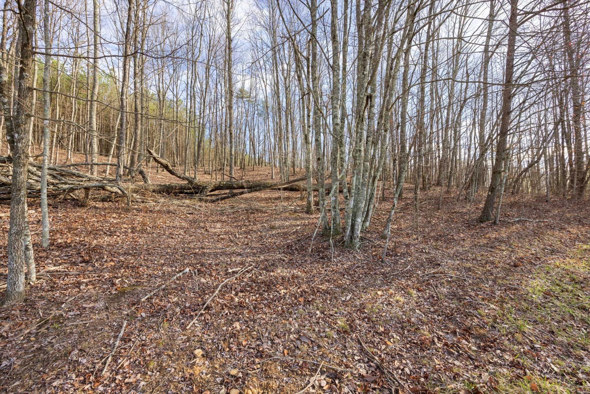 1920 Raulston Falls Road