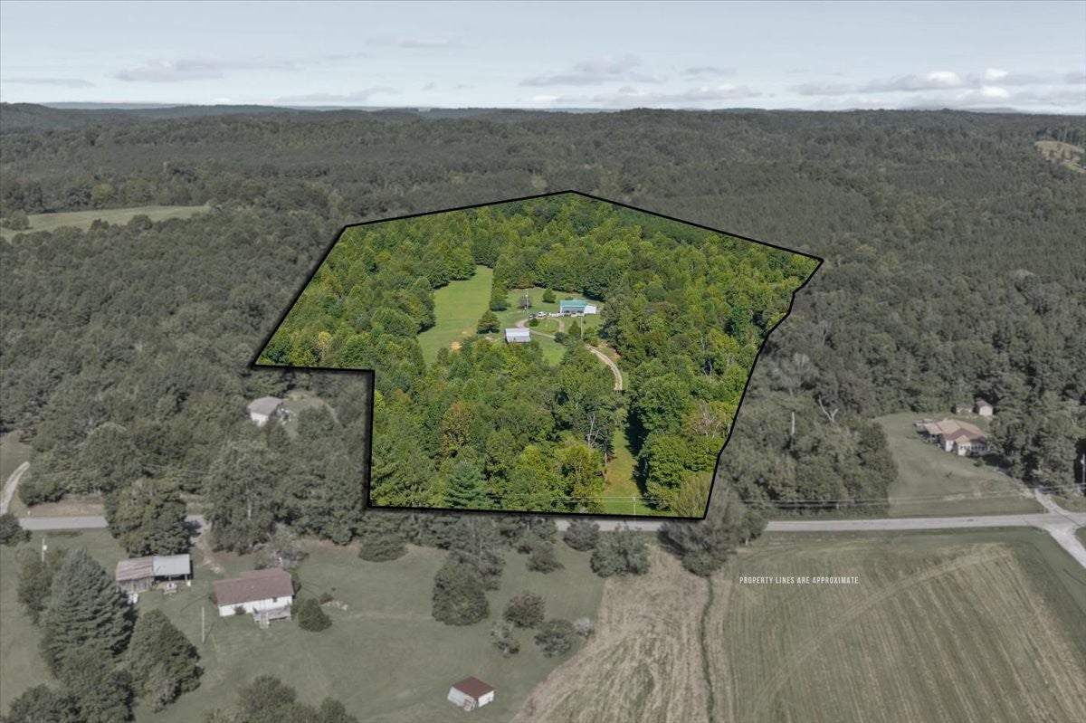278 County Road 82