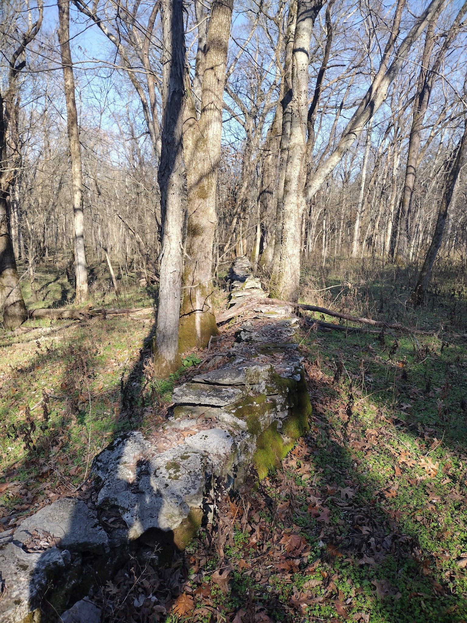 980 Baldy Ford Road