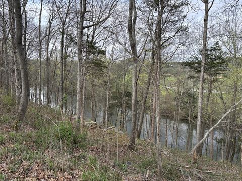 0 Arrowhead S McMinnville TN 37110