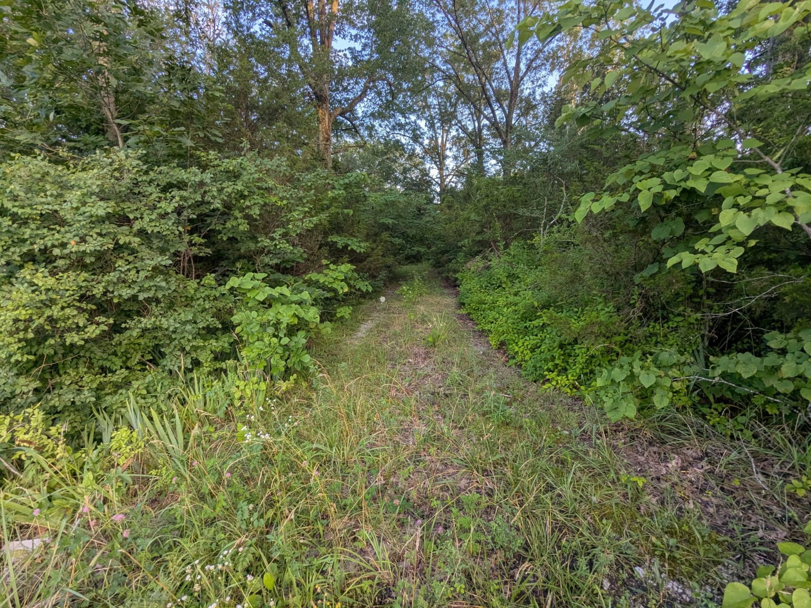 1511 Finley Beech Rd