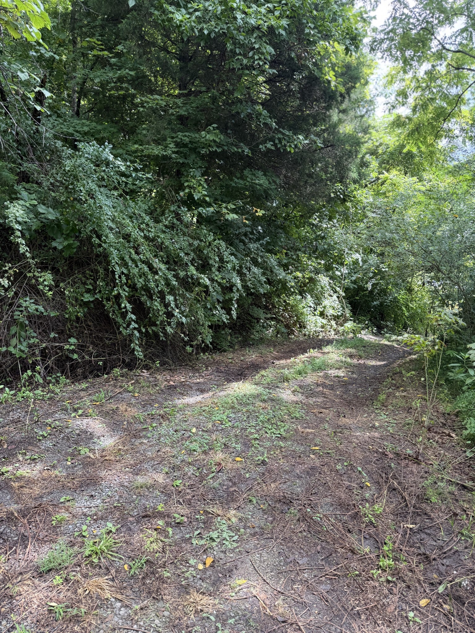 5208 Little Marrowbone Rd