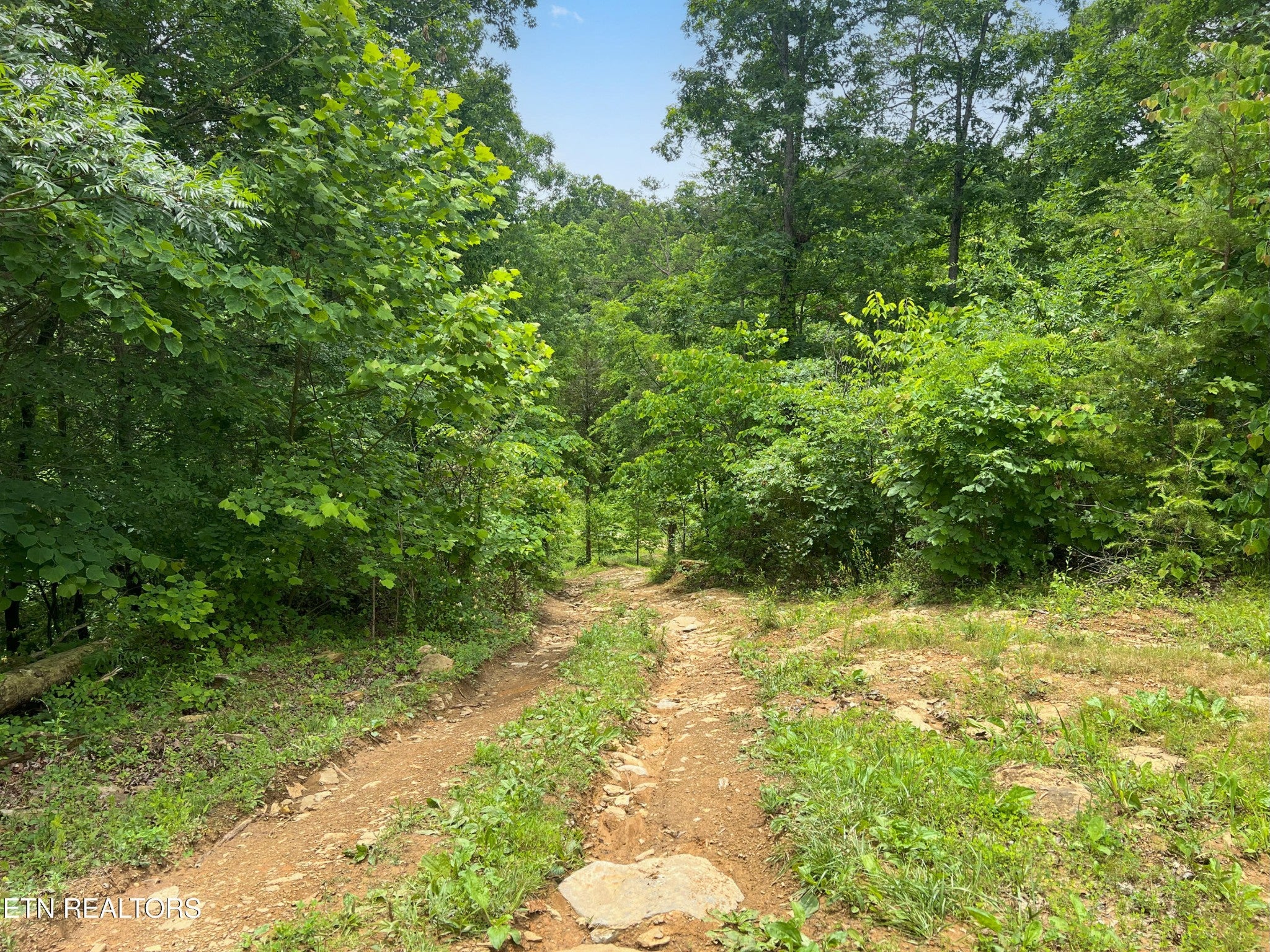 185 Green Rd
