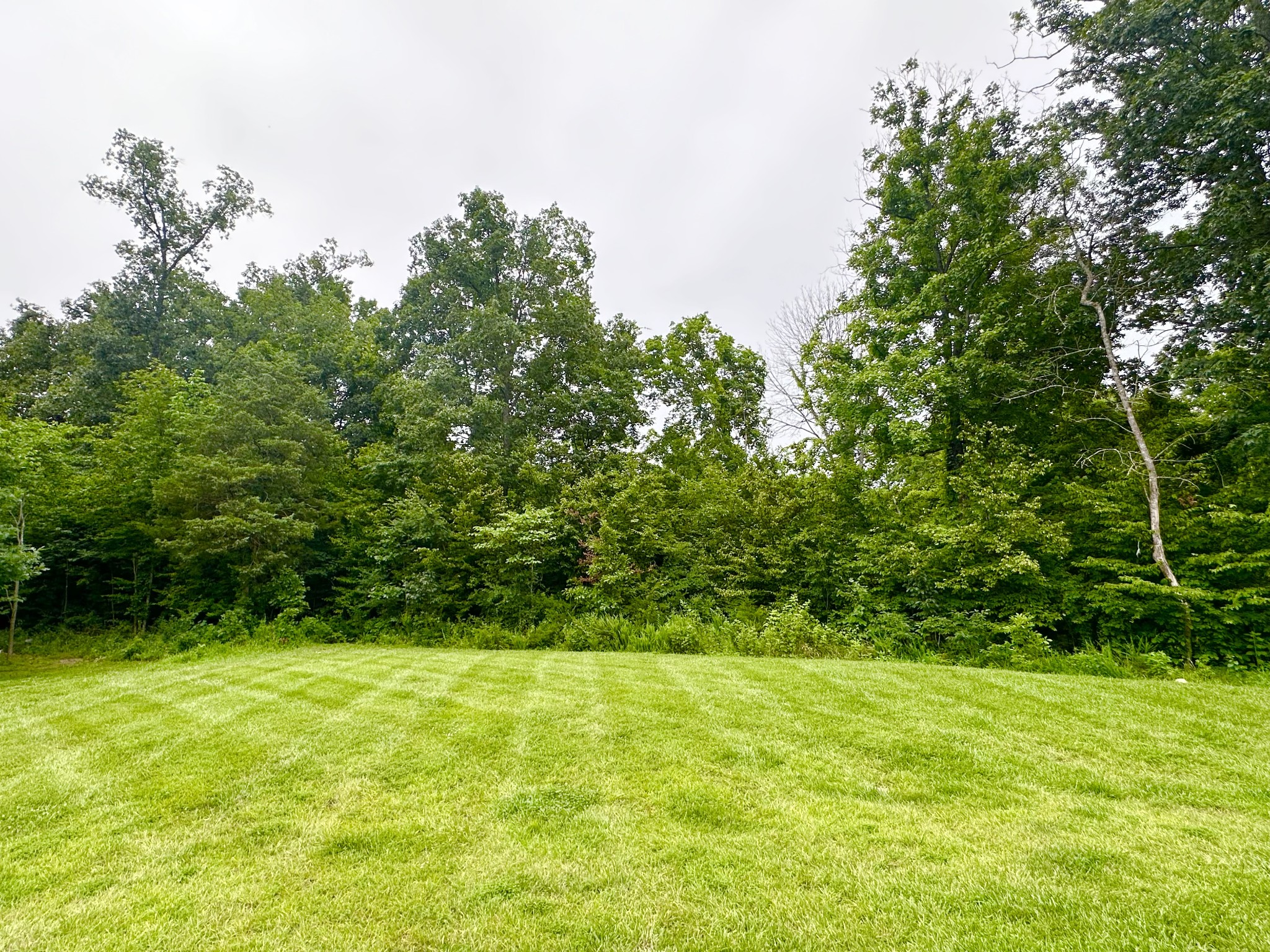 1276 Craigleigh Dr
