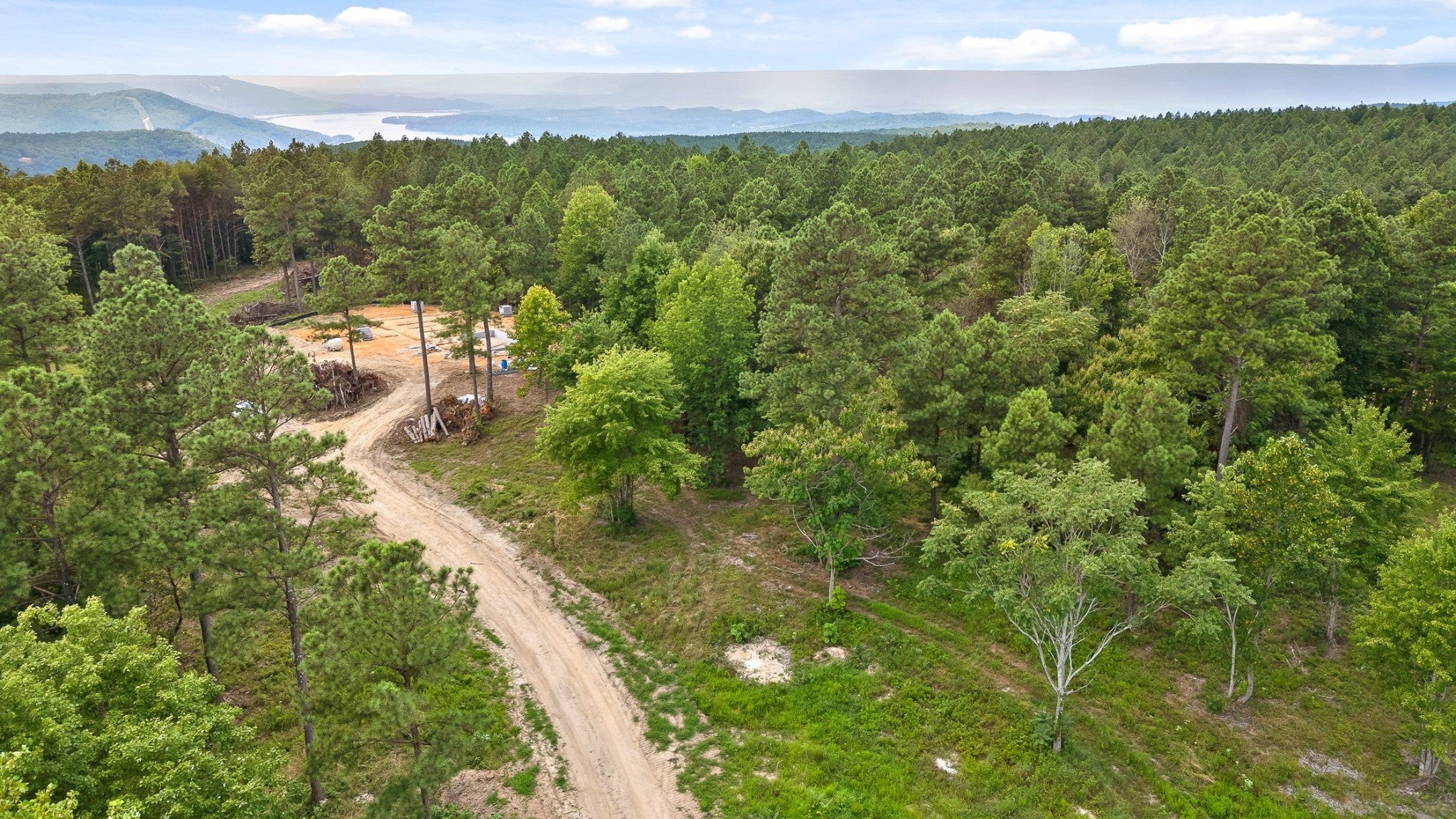 0 Treetop St