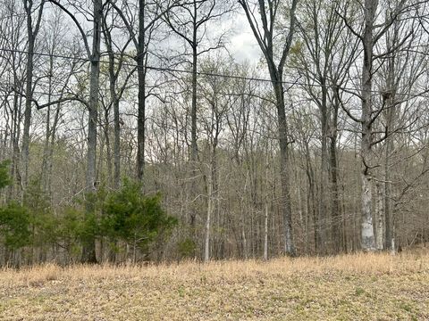 1020 Ed sanders Rd Lynchburg TN 37352