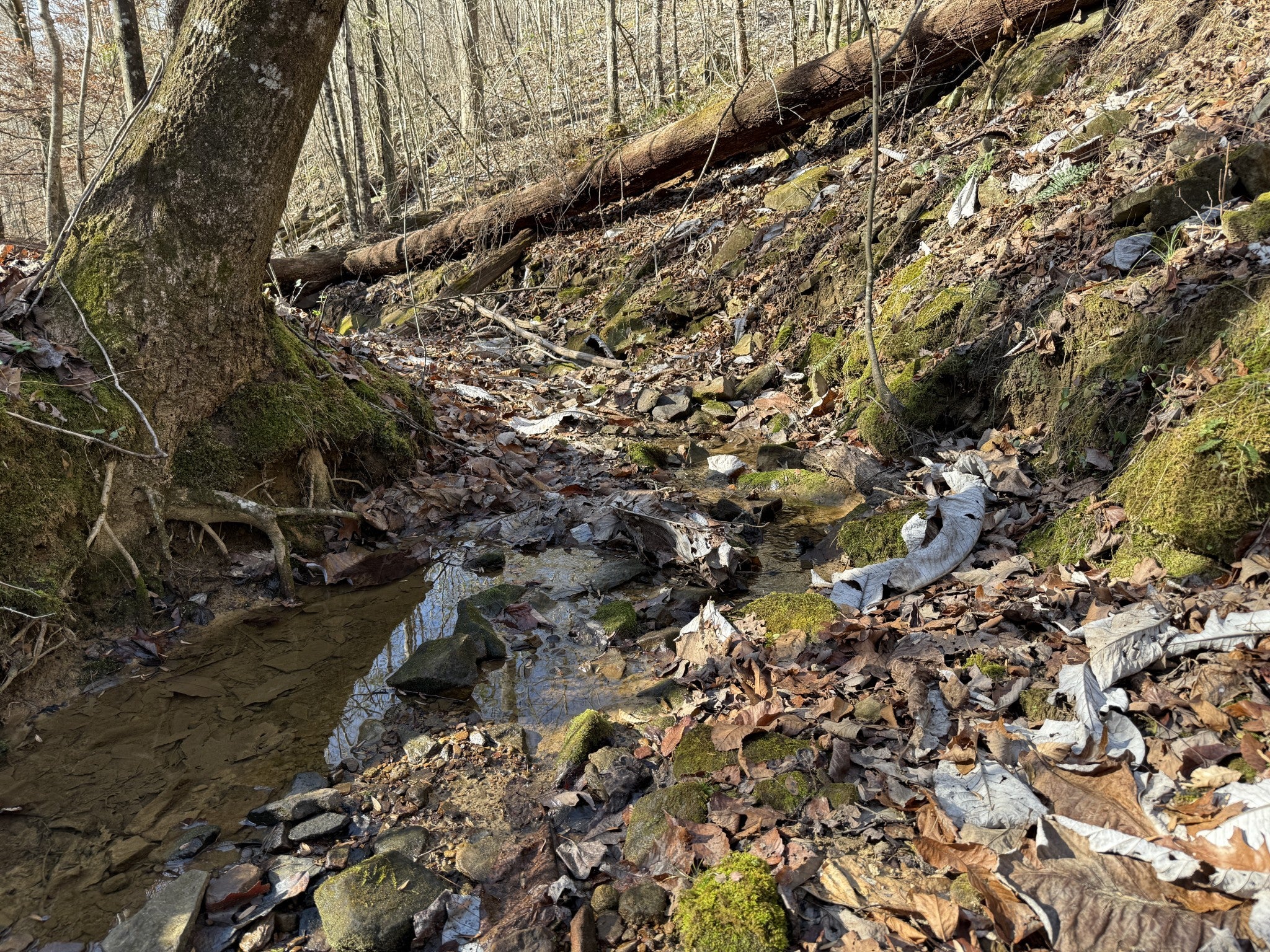 0 County Road 41