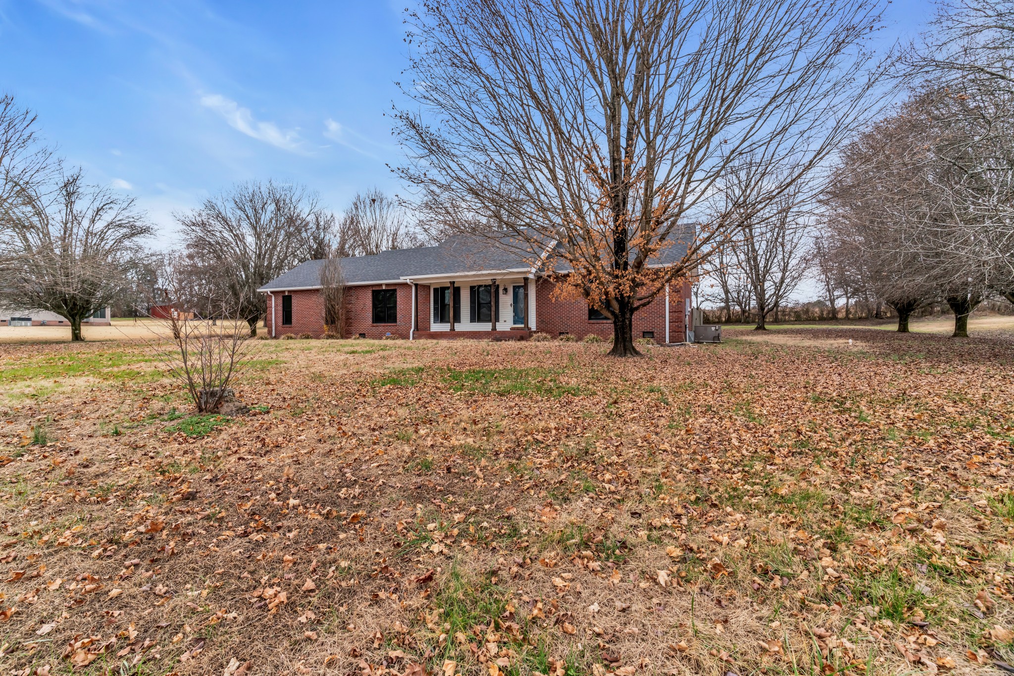 1009 Lewis Jones Blvd