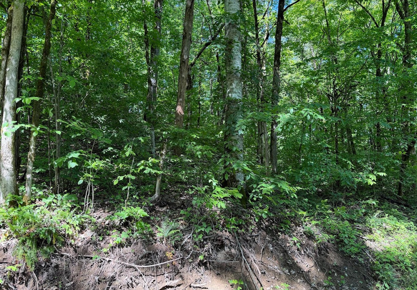 0 Spring Creek Road