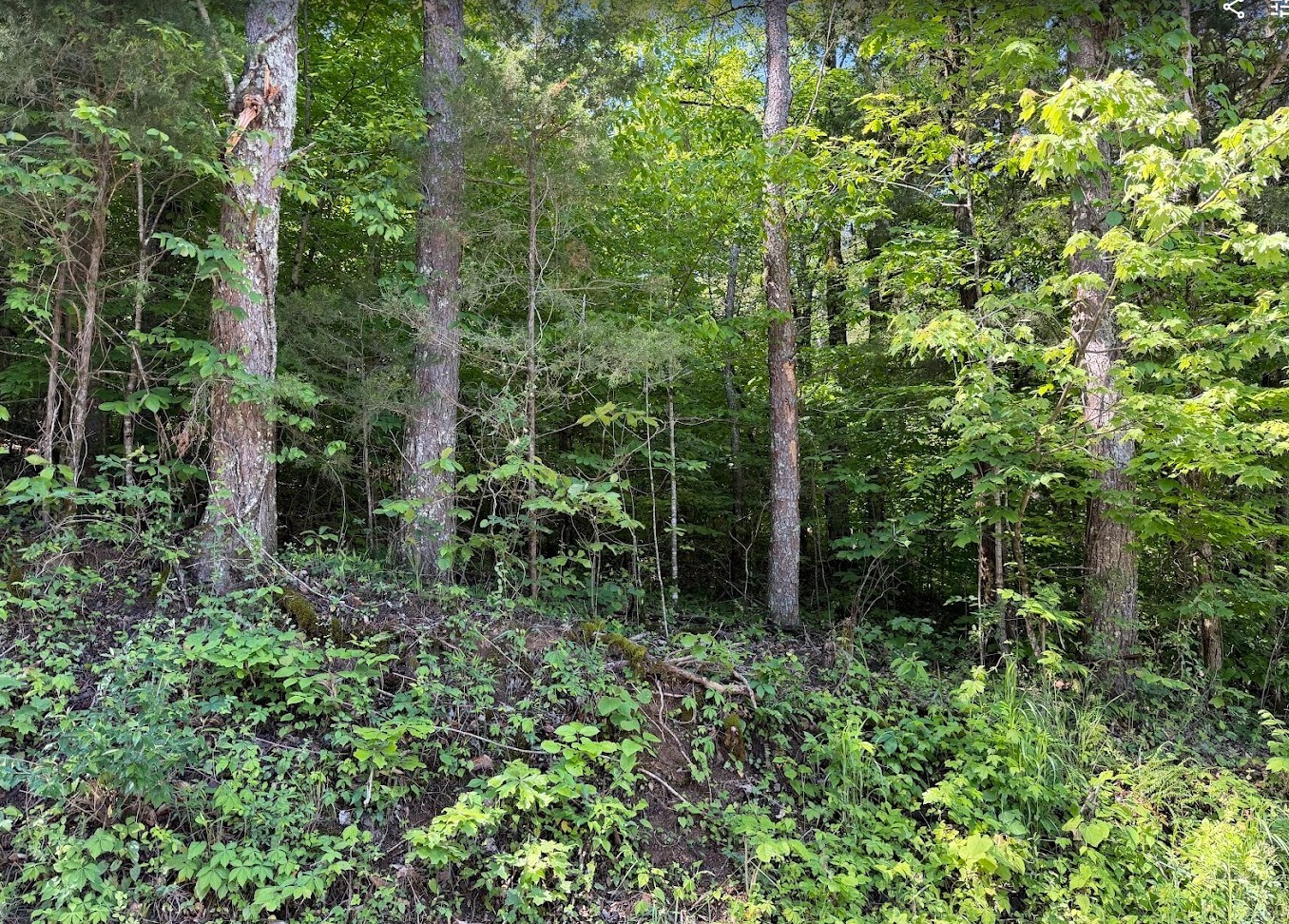 0 Spring Creek Road