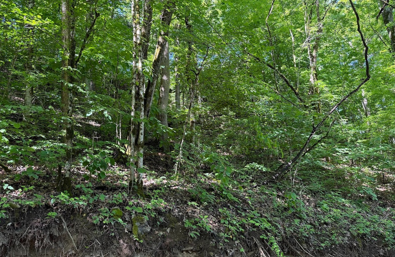 0 Spring Creek Road