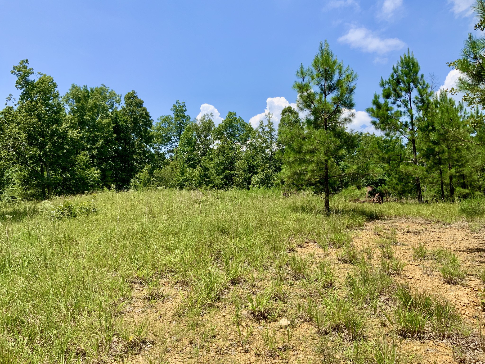 0 Bear Creek Road