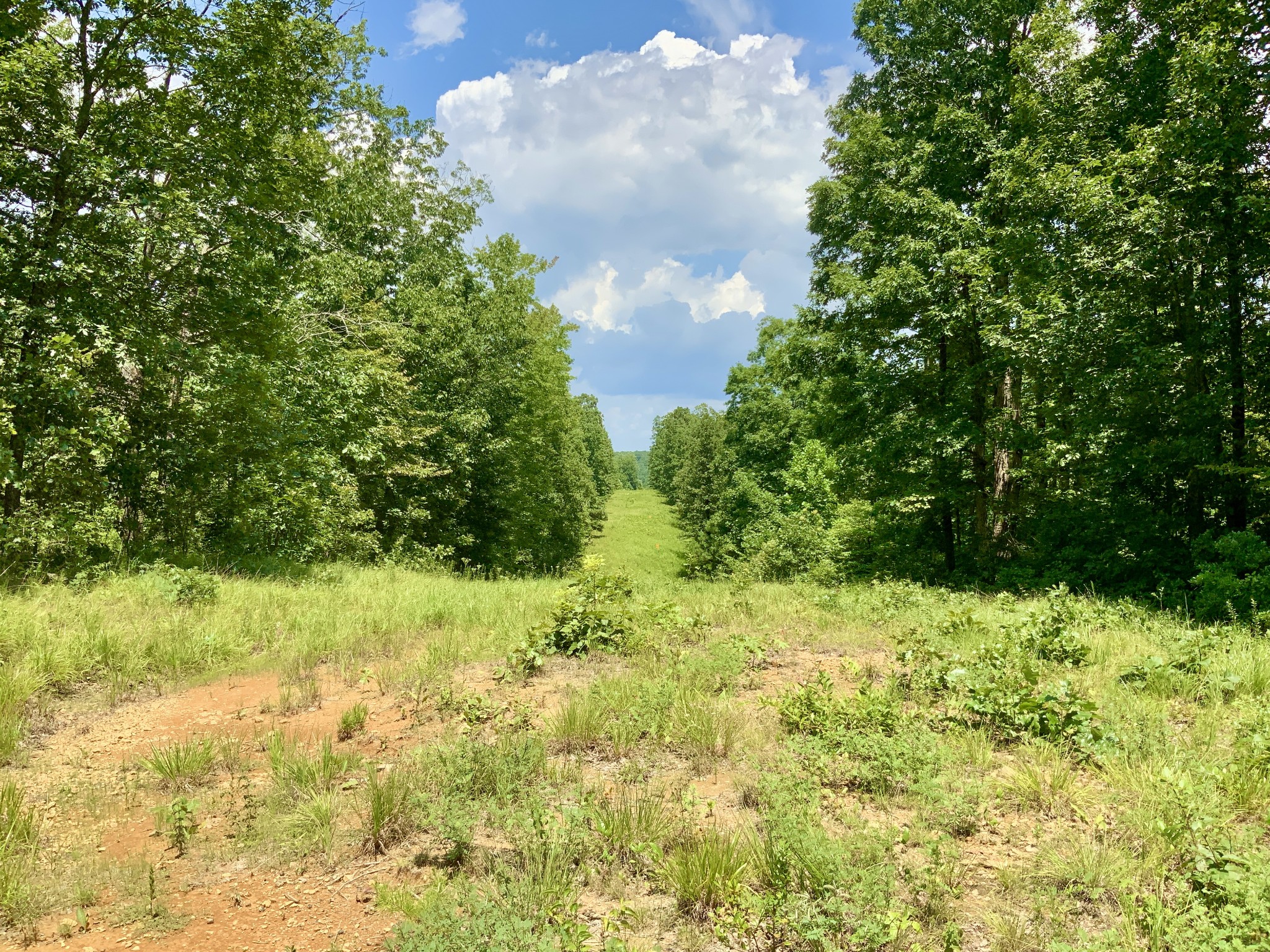 0 Bear Creek Road