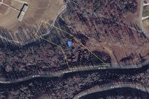 214 W Point Trl Dandridge TN 37725