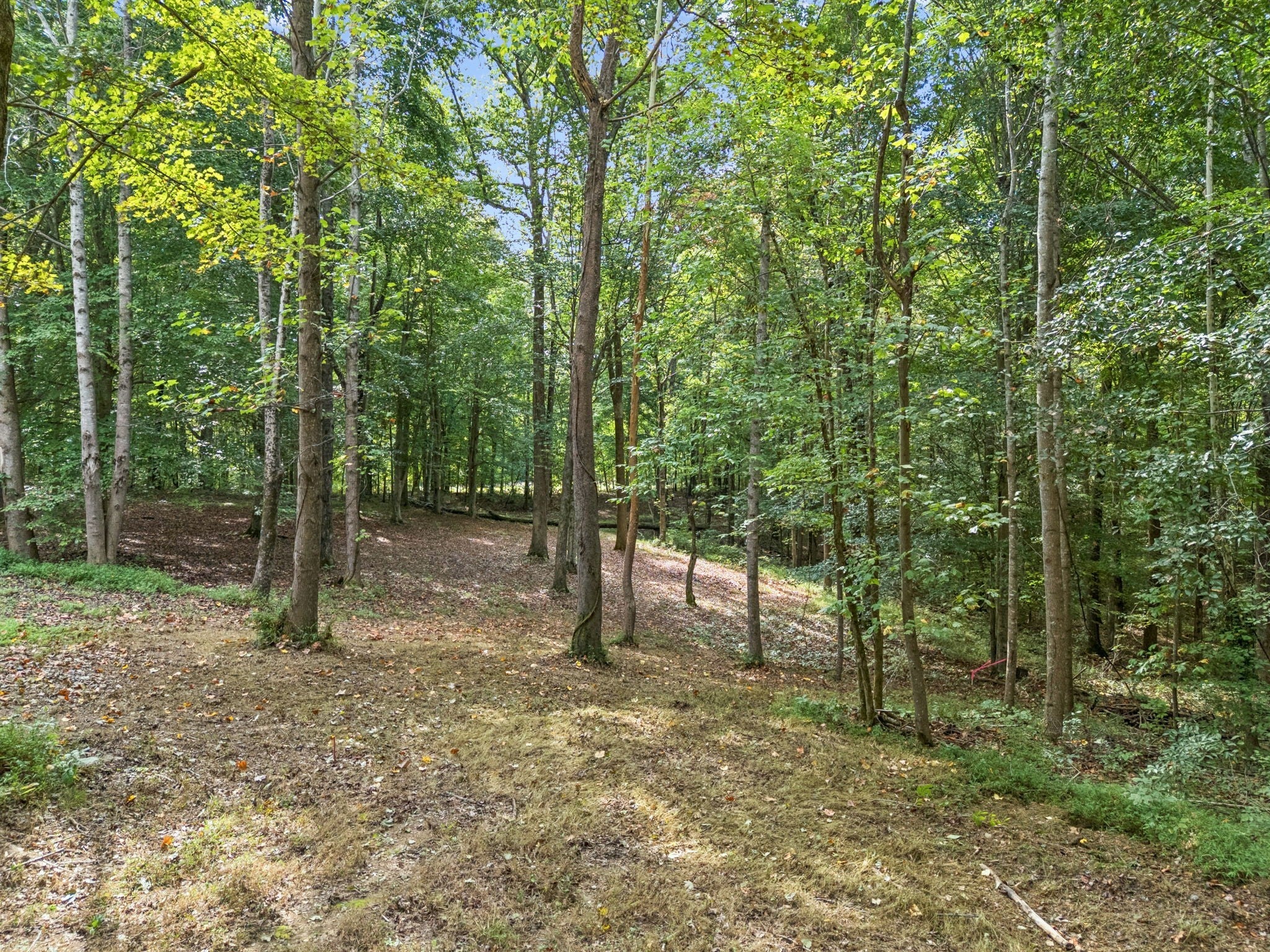 0 Tidwell Swtich Road
