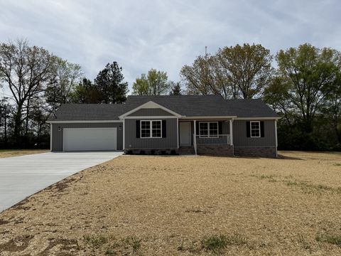 Photo of 53 Sunset Falls Rd, Manchester, TN 37355 (MLS # 3169056)