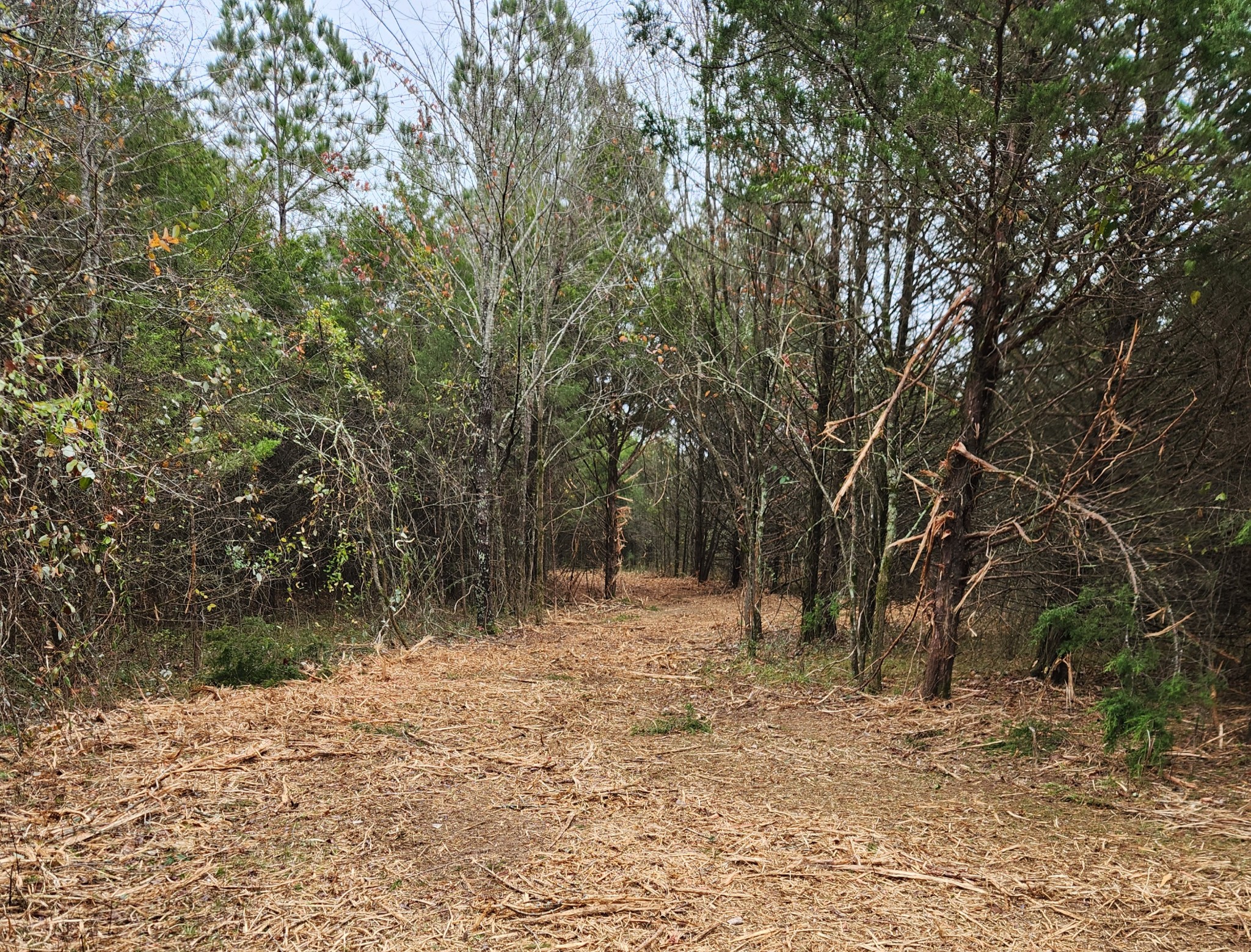 4230 Peytonsville Trinity Rd