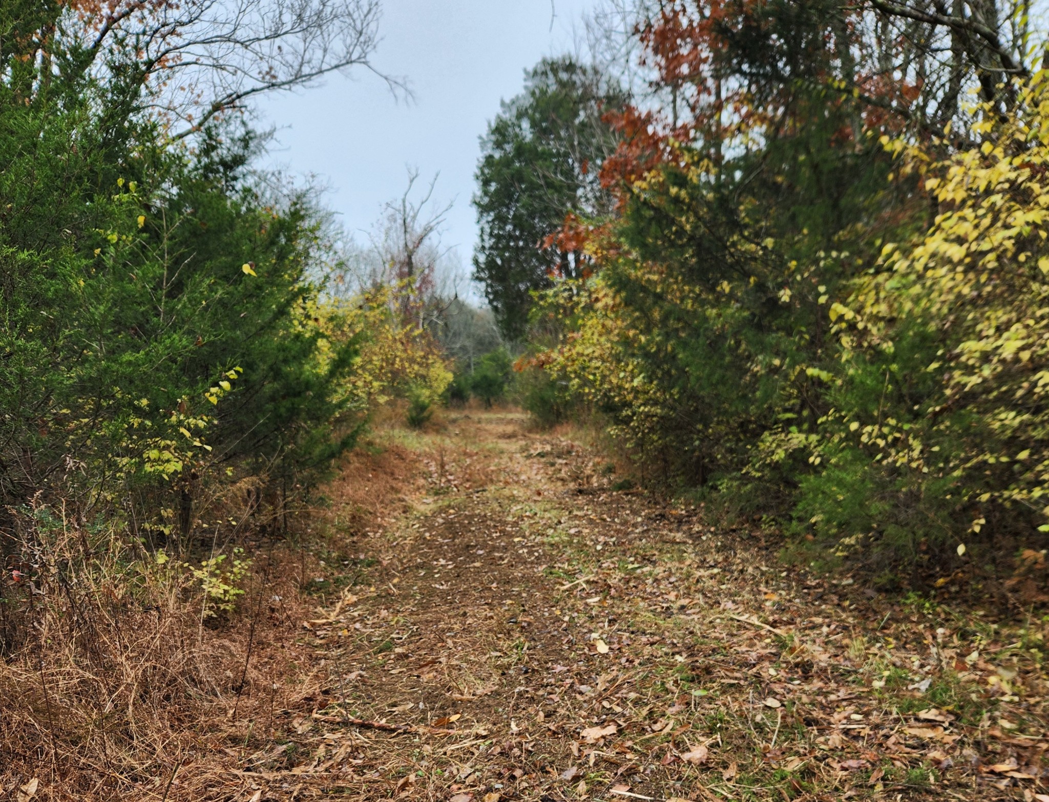 4230 Peytonsville Trinity Rd