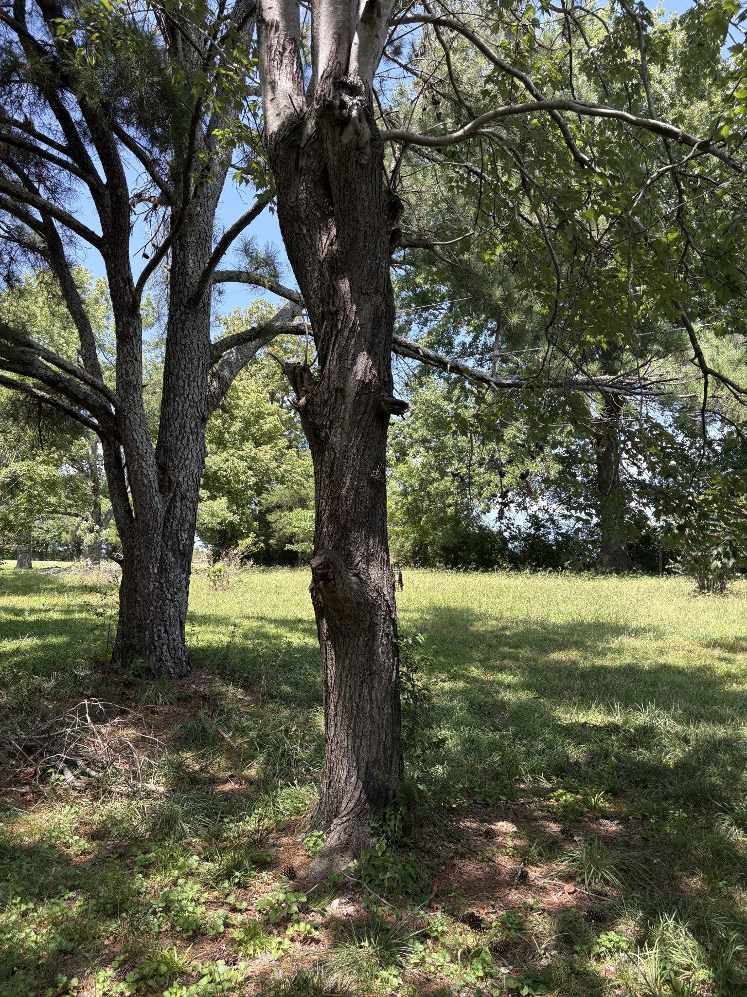 362 Neals Ln - Photo 4