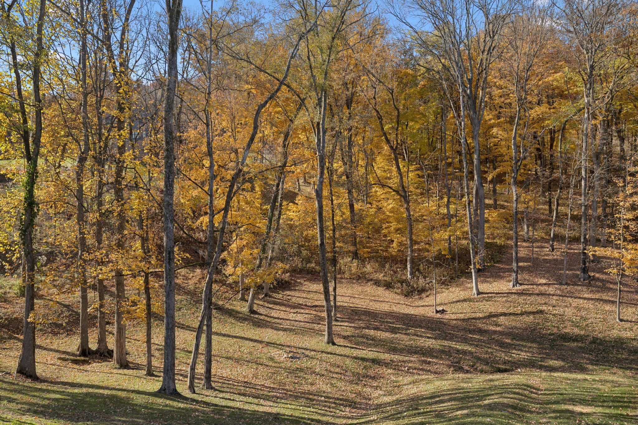 listing at 9502 Grand Haven Dr, Brentwood