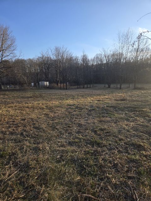 256 Buck Perry Rd Bethpage TN 37022