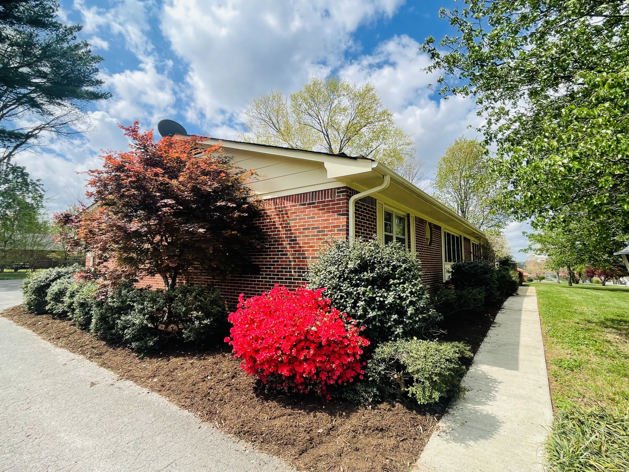 203 Mary Sharp Dr