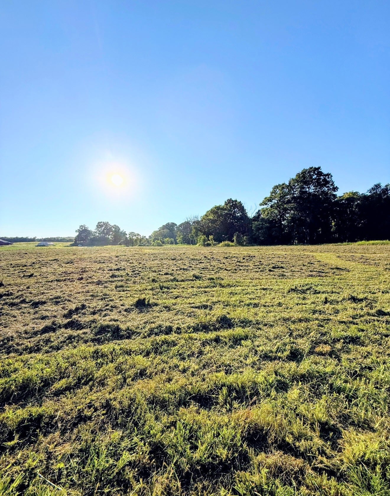 8001 Cainsville Road