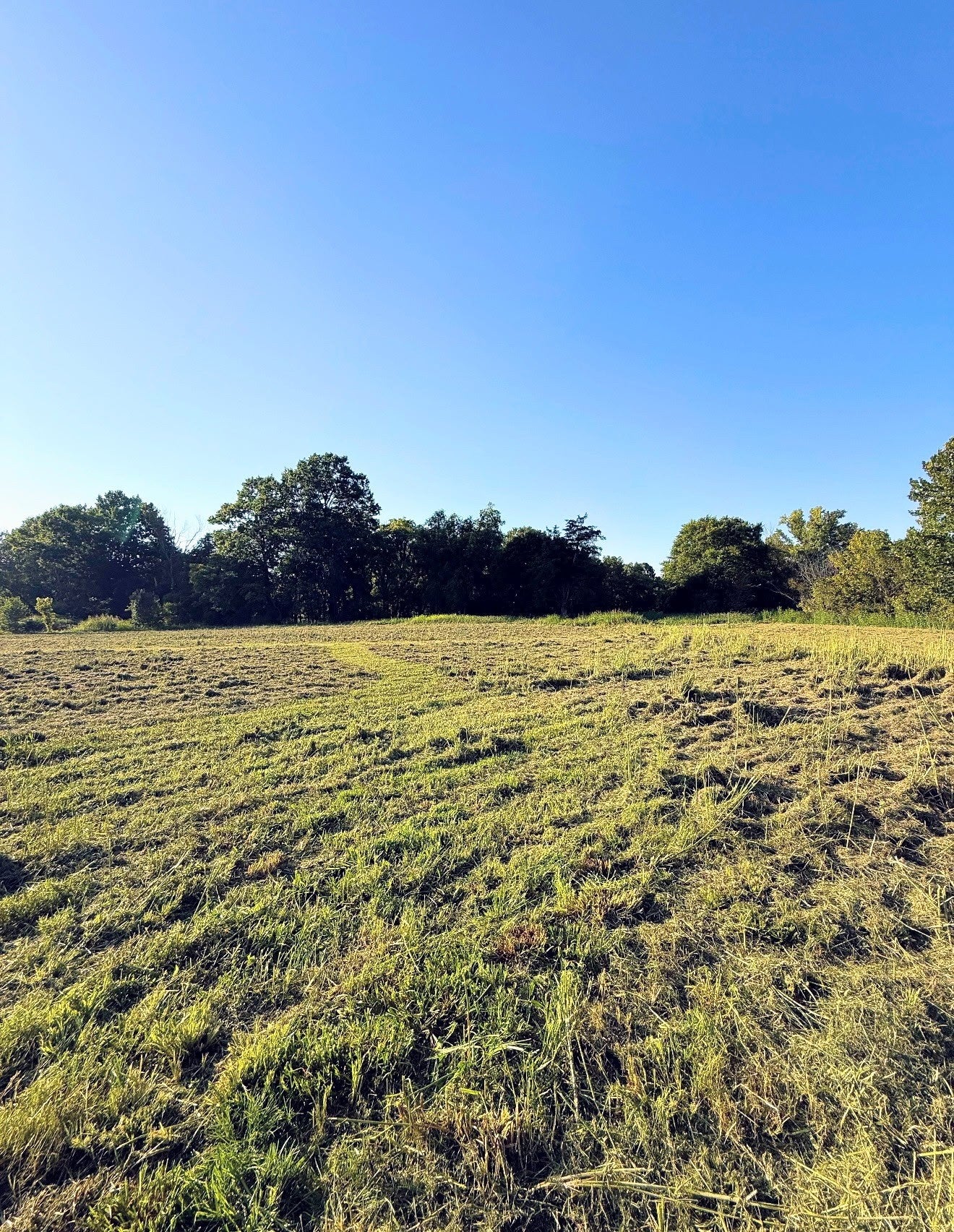 8001 Cainsville Road