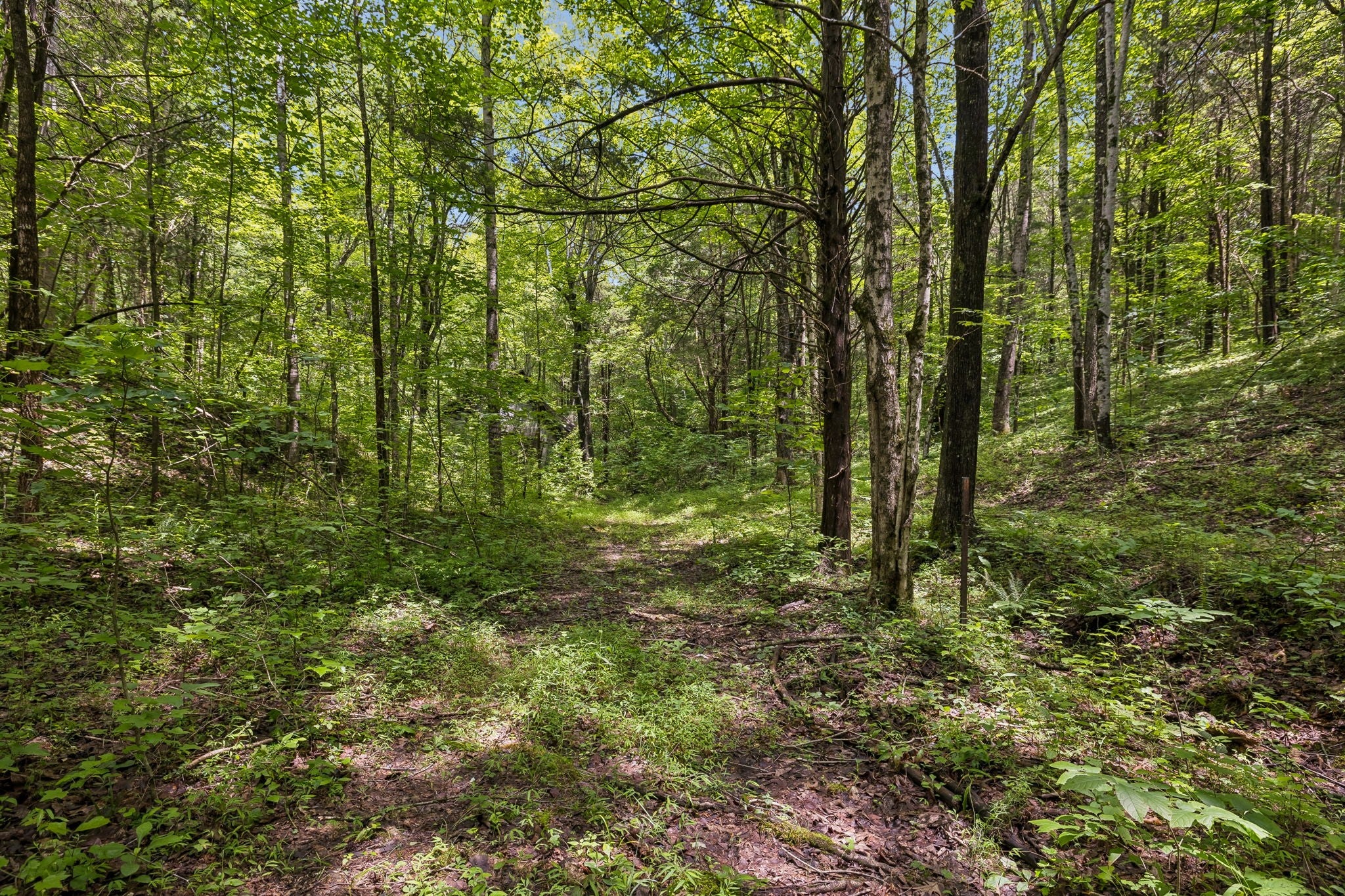 4876 Louise Creek Rd